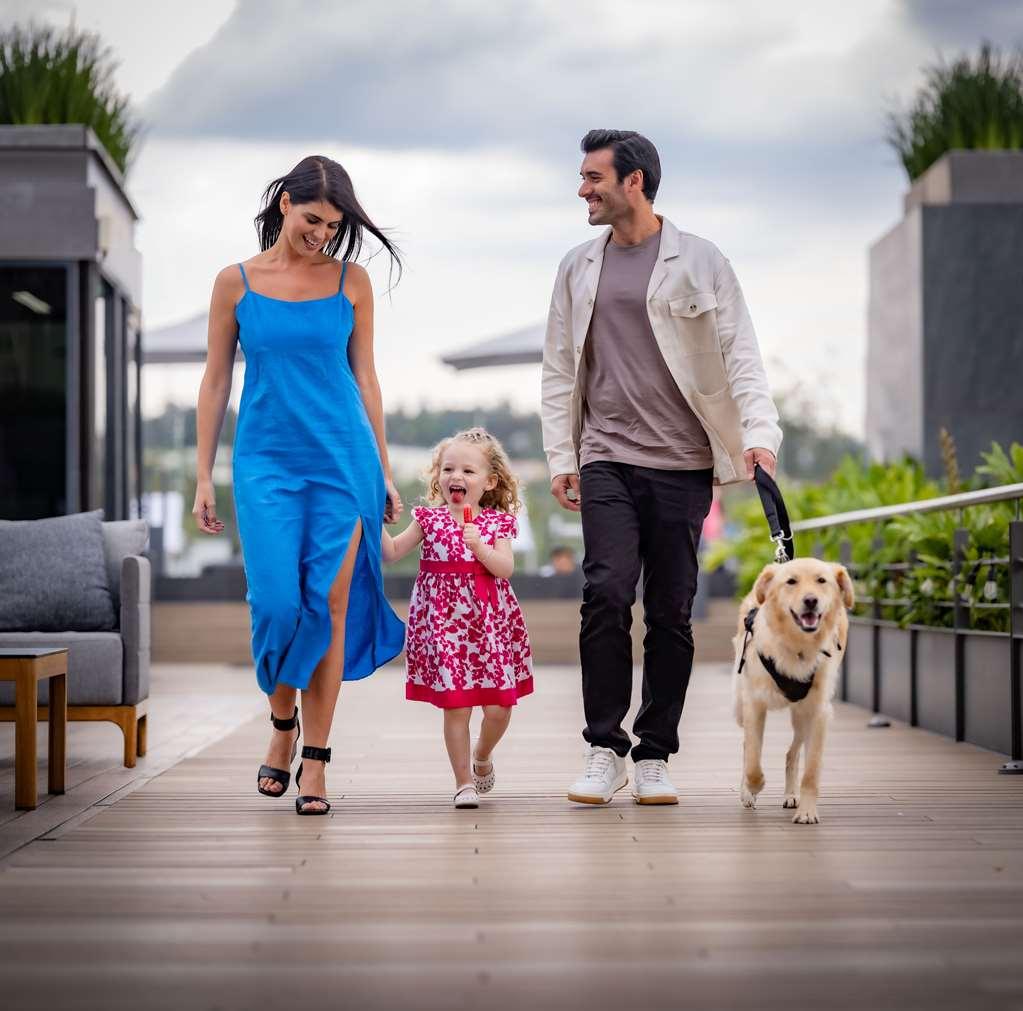 Galeria Plaza San Jeronimo Hotel Ciudad de México Facilități foto A family with a dog
