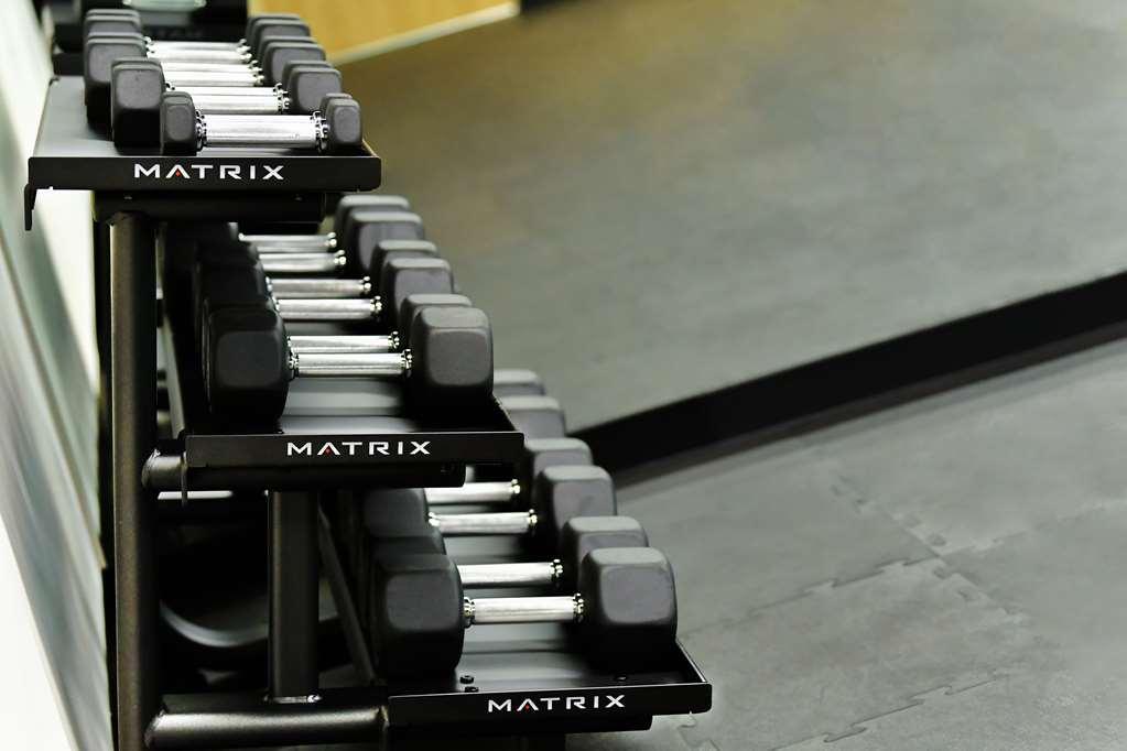 Galeria Plaza San Jeronimo Hotel Ciudad de México Facilități foto Dumbbells
