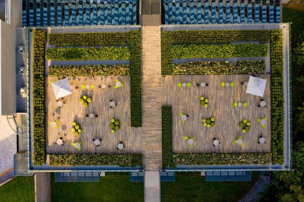 Galeria Plaza San Jeronimo Hotel Ciudad de México Exterior foto The green wall at the Allianz Arena