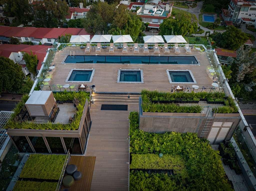 Galeria Plaza San Jeronimo Hotel Ciudad de México Facilități foto The rooftop pool at the hotel